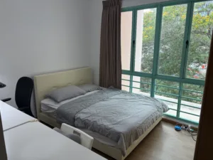 June-July 2026 Singapore Room Rental [Female only]